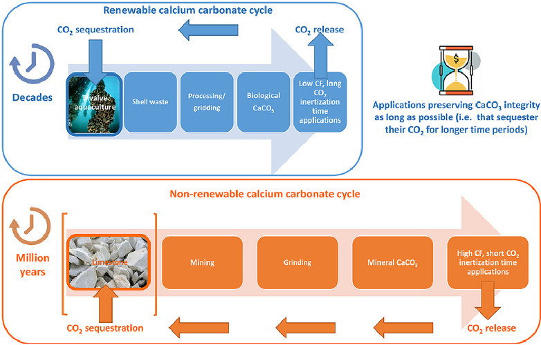 Graphical abstract “Assessing the impact of bivalve aquaculture on the carbon circular economy”. A.A.Alonso, X.A.Álvarez-Salgado, L.T.Antelo