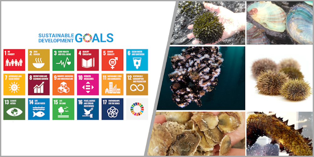 sdgs on water
