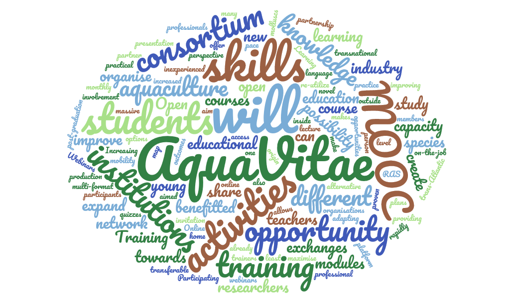 Wordcloud related to training in AquaVitae.