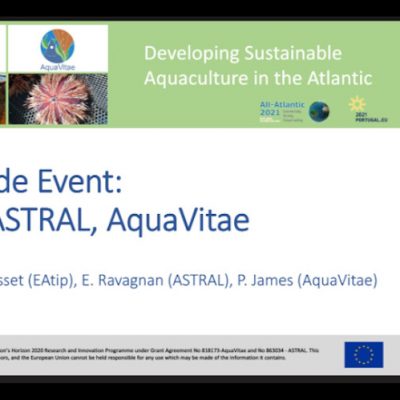 All-Atlantic21 side even on sustinable aquaculture with AquaVitae, ASTRAL and EATiP.