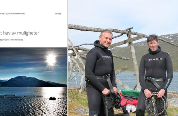 The AquaVitae project is highlighted as a successful example of international cooperation in aquaculture research in Norway's new aquaculture strategy.