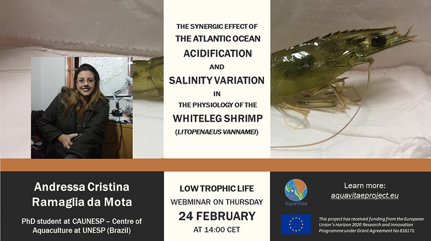 Low Trophic Life Webinar: “The Synergic Effect of the Atlantic Ocean Acidification and Salinity Variation in the Physiology of the Whiteleg Shrimp (Litopenaeus vannamei)”