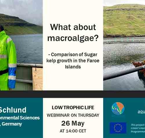 Low Trophic Life Webinar: “What about macroalgae? Comparison of Sugar Kelp growth in the Faroe islands”
