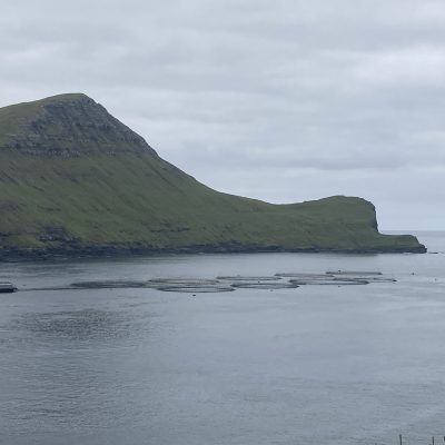 IMTA site at Faroe Islands