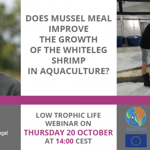 Low Trophic Life Webinar: “Does mussel meal improve the growth of the whiteleg shrimp?”