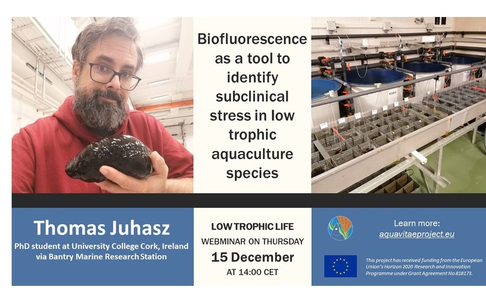 Low Trophic Life Webinar: “Biofluorescence as a tool to identify subclinical stress in Iow trophic aquaculture species”