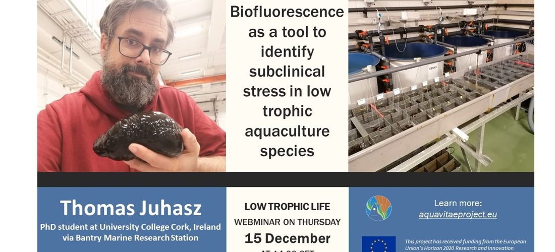 Low Trophic Life Webinar: “Biofluorescence as a tool to identify subclinical stress in Iow trophic aquaculture species”