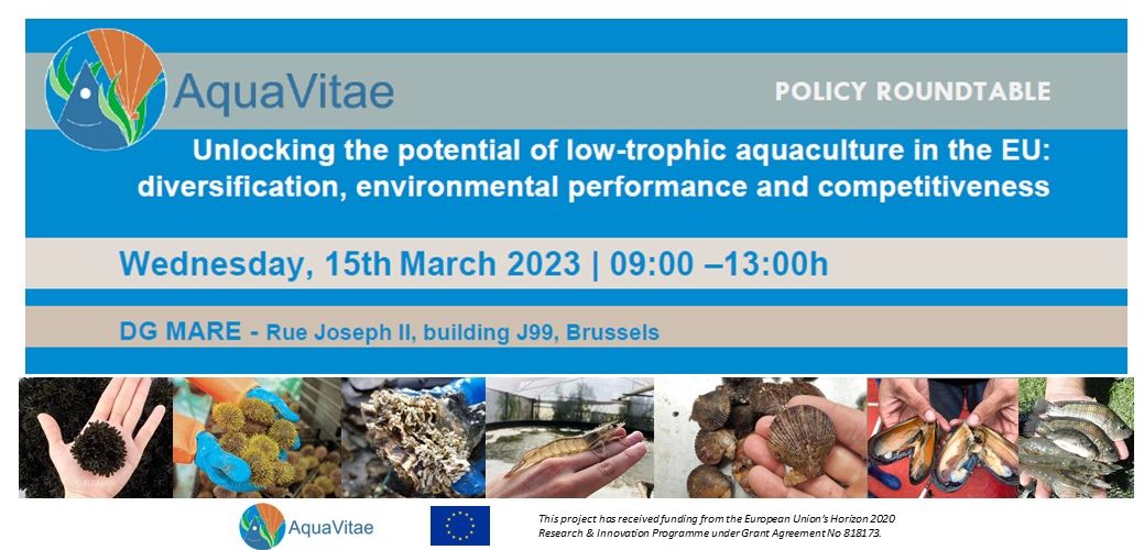 AquaVitae policy roundtable in Brussels